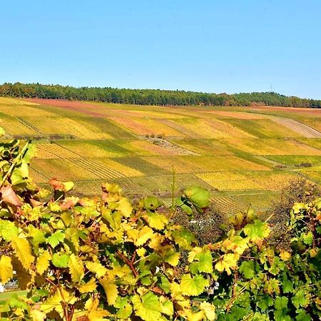 Ferienwohnungen Etzl Bad Mergentheim Luaran gambar