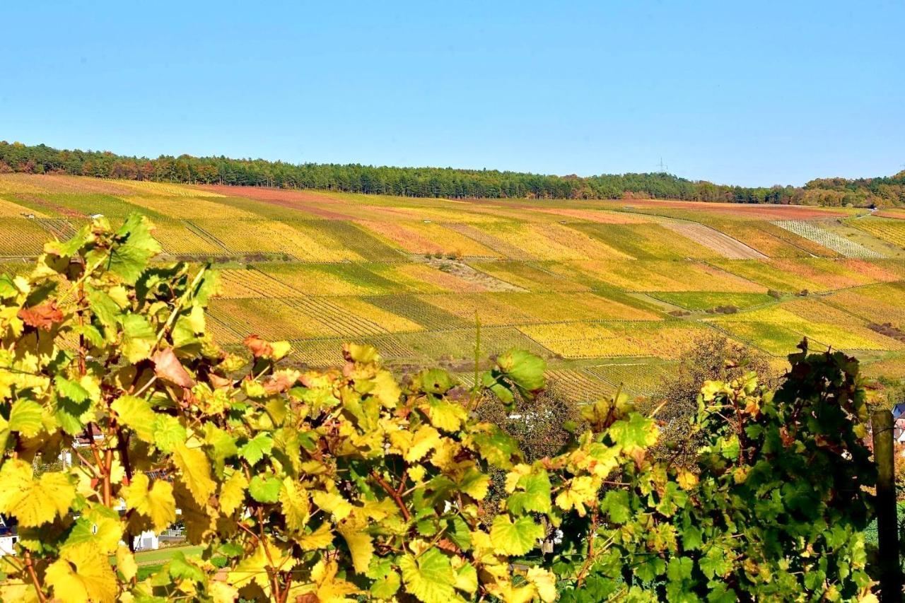 Ferienwohnungen Etzl Bad Mergentheim Luaran gambar